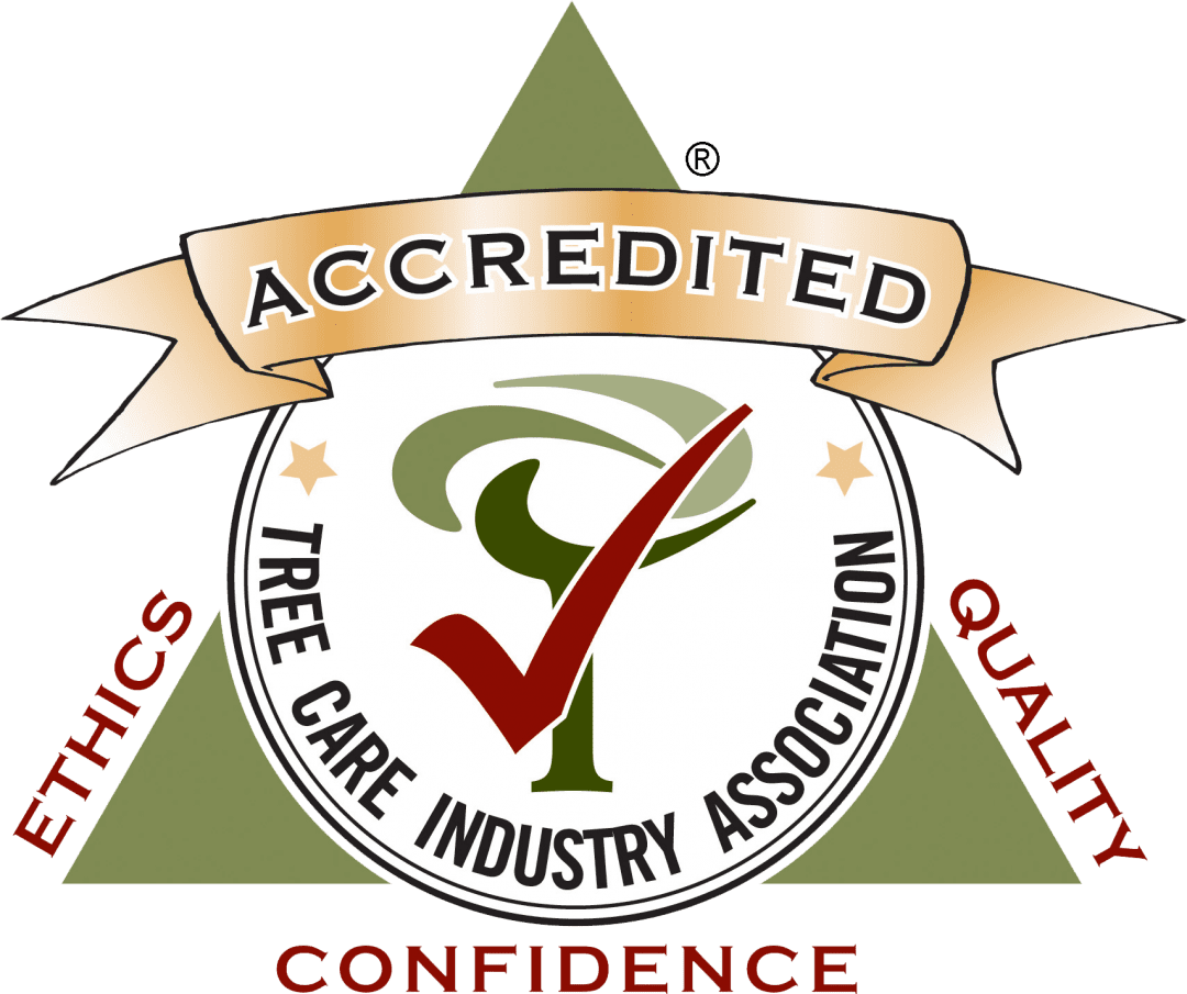 TCIA Accredited