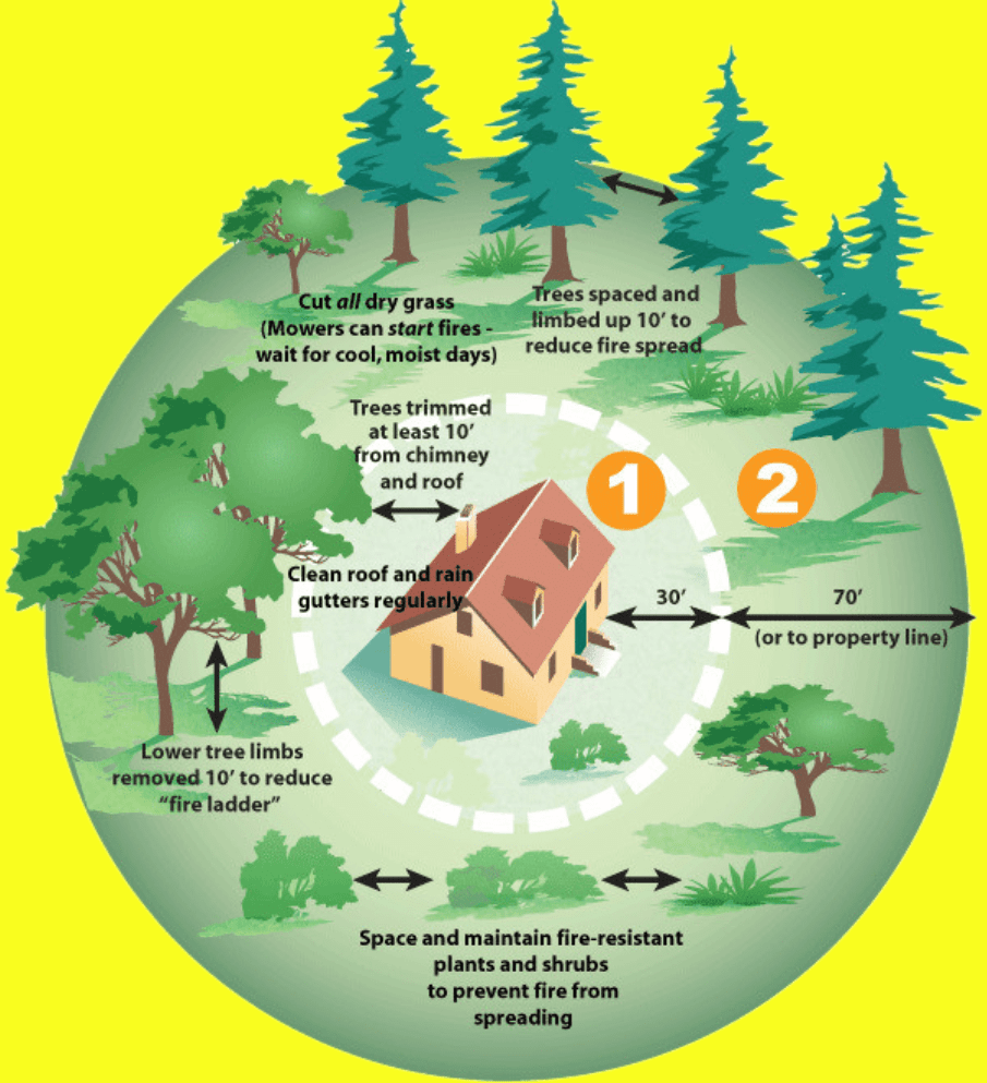 Tree Removal Infographic